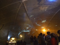 ZUR le boulon-109046